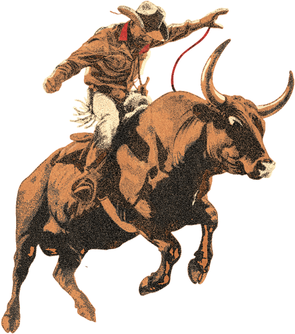 Bull Icon