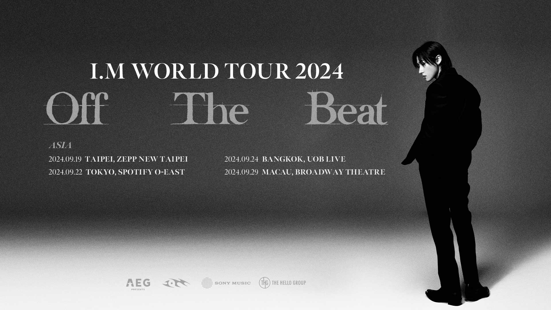 I.M. World Tour 2024 poster