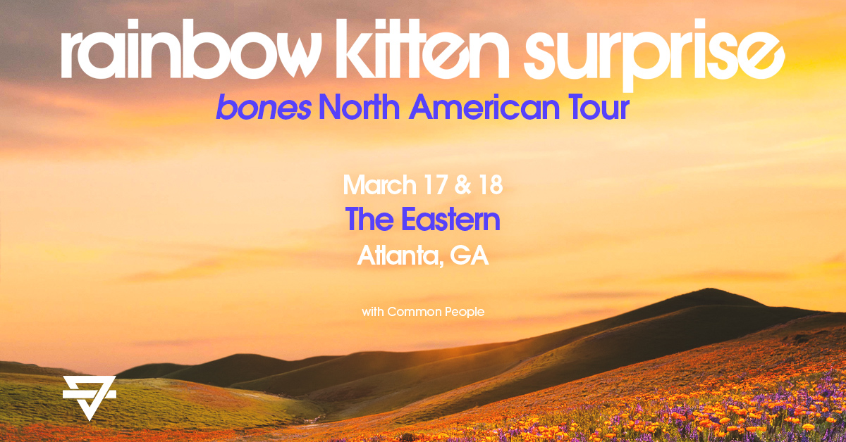 Rainbow Kitten Surprise