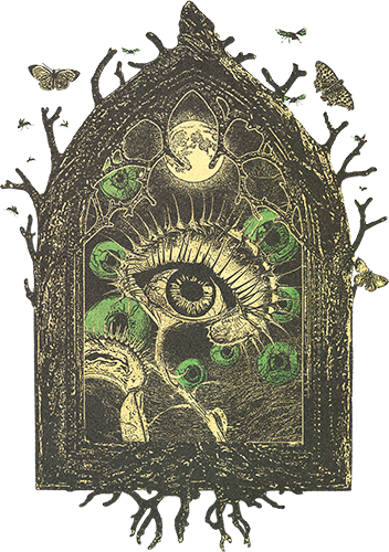 Venus Eye Art