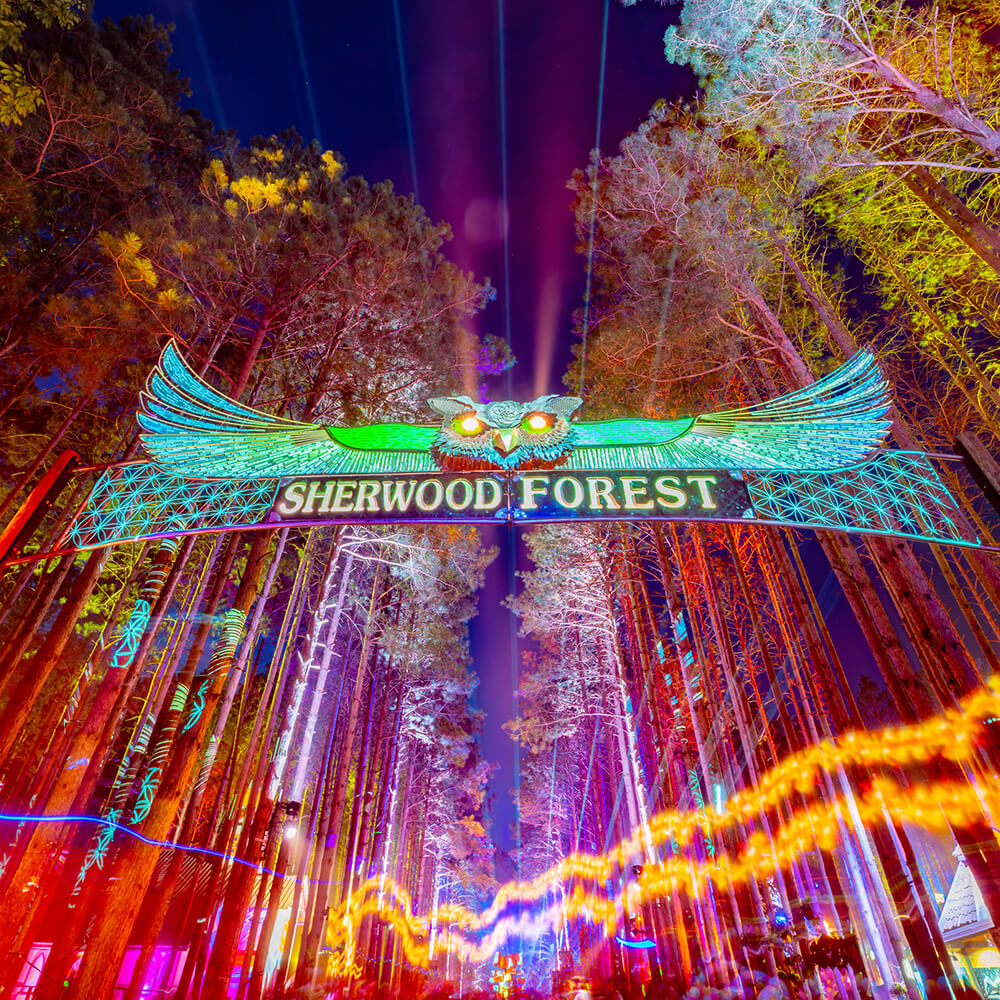 Sherwood Forest