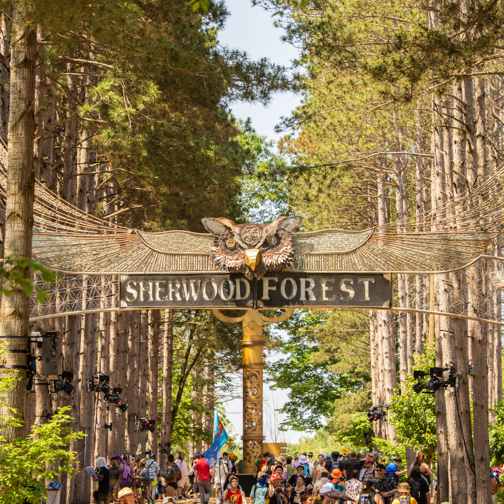 Sherwood Forest