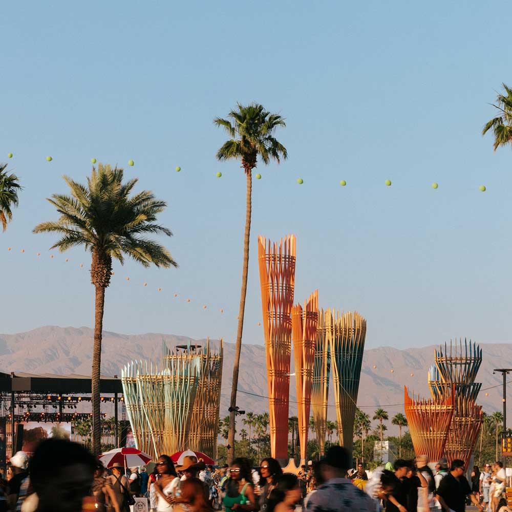 view of fans in front of palm trees
