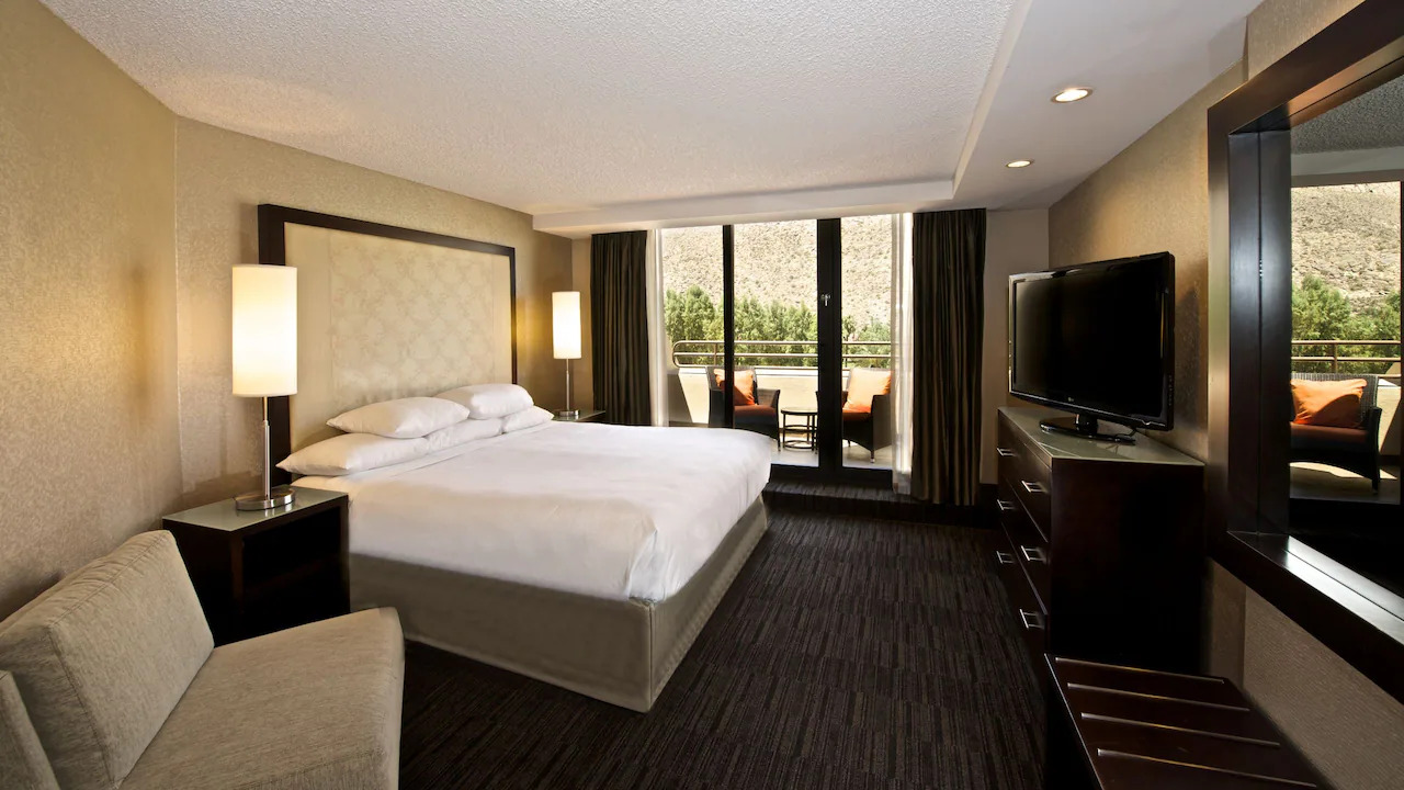 Suite King Room at Hyatt