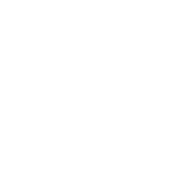 Skyy Vodka logo