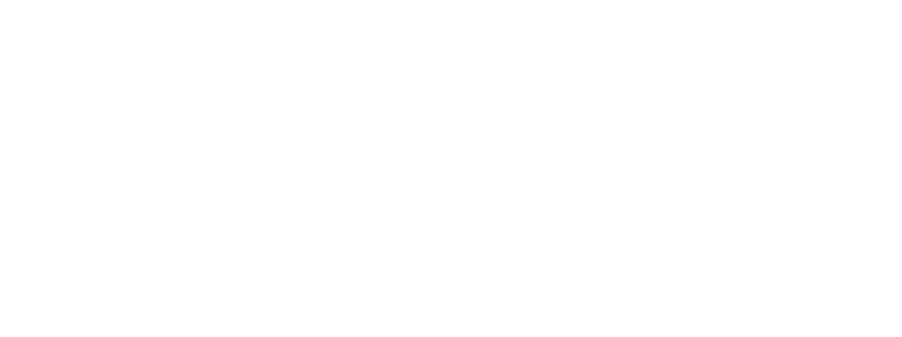 Salt Point Logo