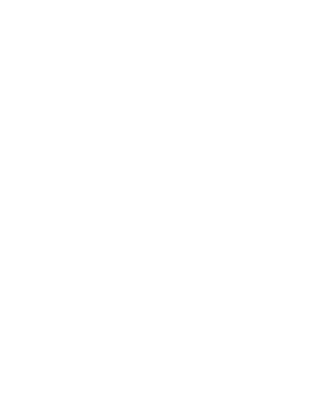 Tito's Logo