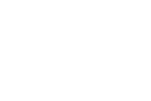 Pinnacle Financial Partners logo