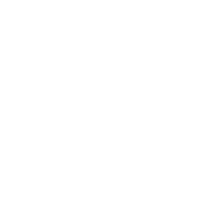 NYX Logo