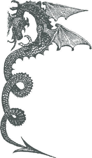 Dragon icon