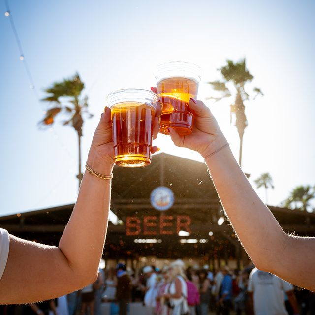 cheersing beers