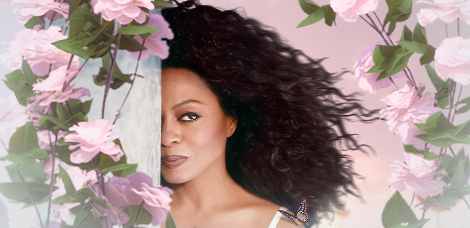 hudson westbrook photo