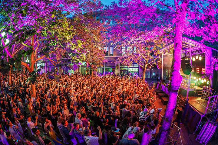 crowd at outdoor concert