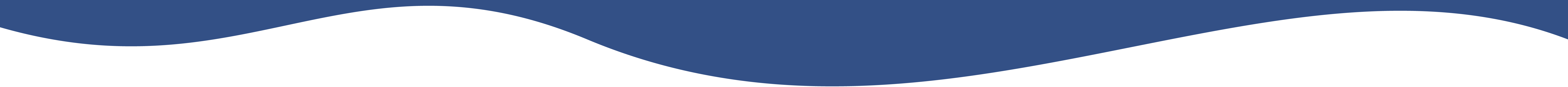 Bottom Wave Border