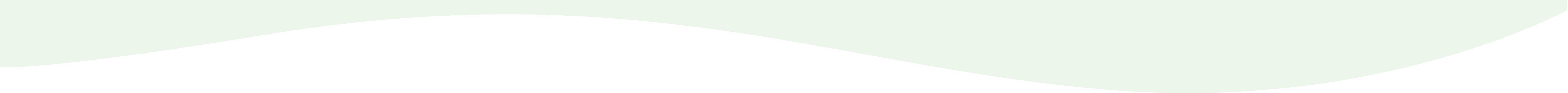 Bottom Wave Border