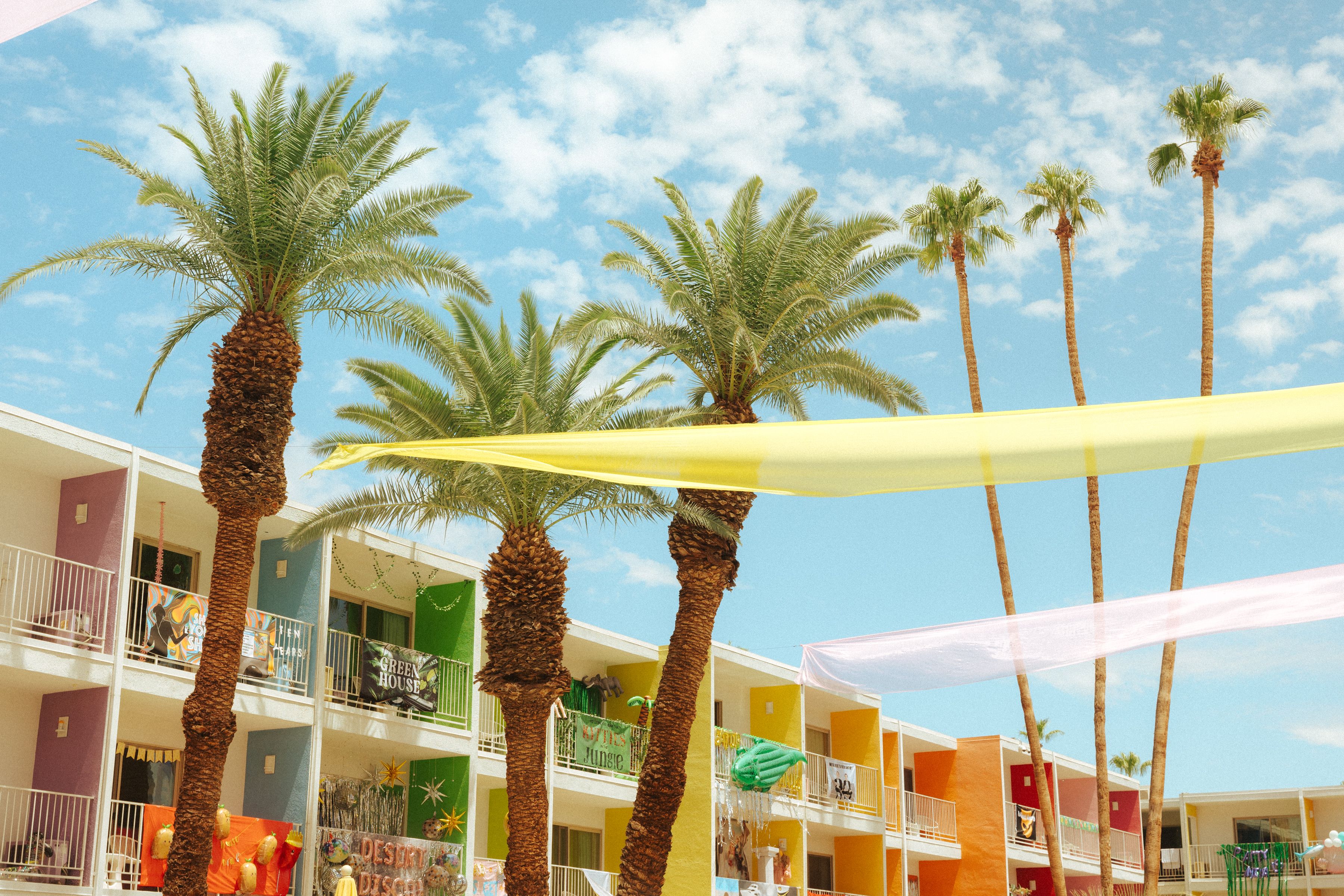 Colorful hotel and palm trees