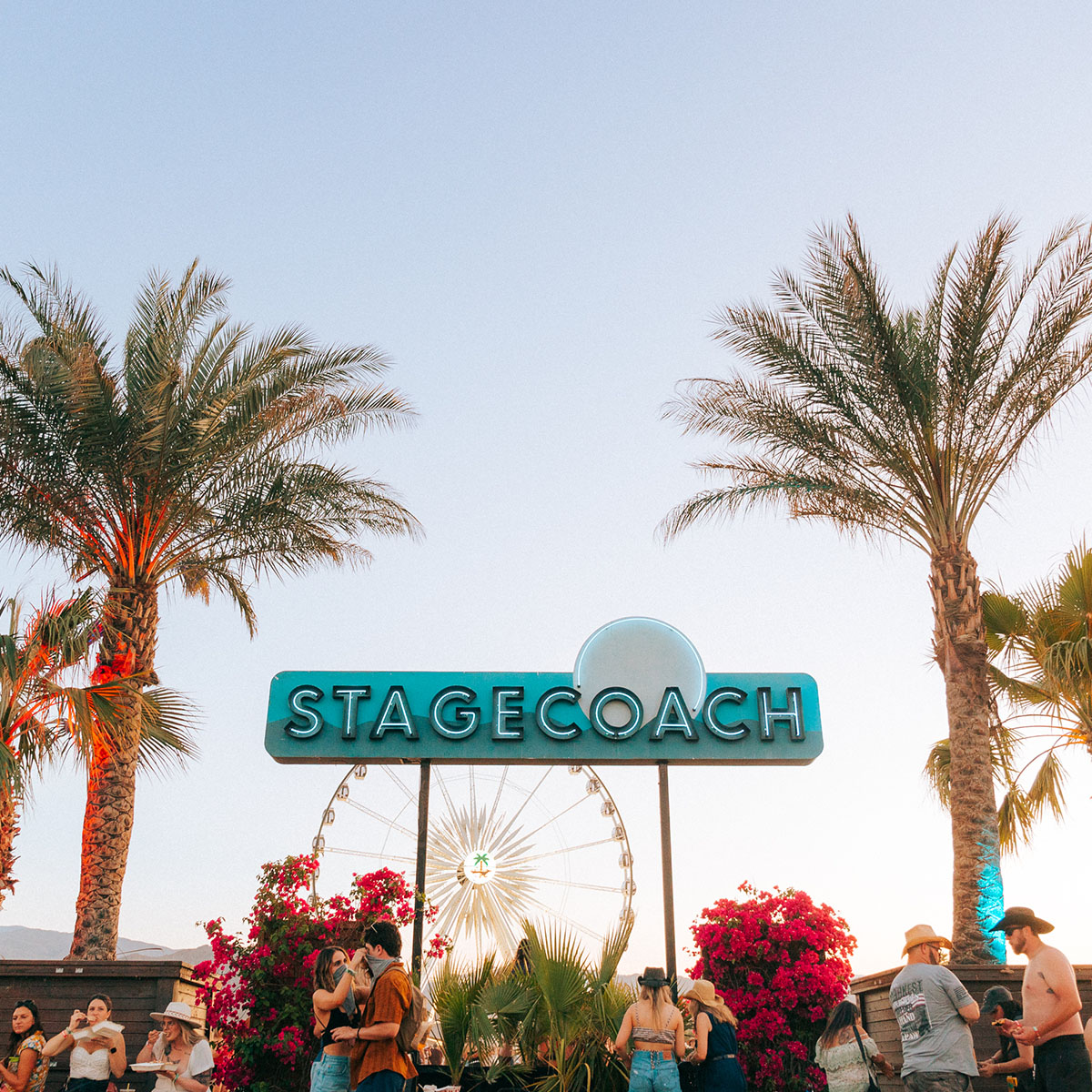 Stagecoach sign with palm trees