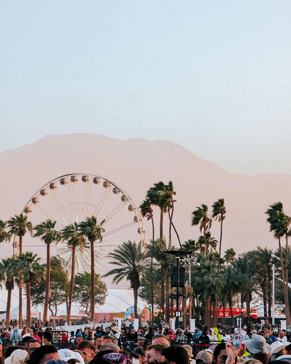 fans in front of Coachella skyline