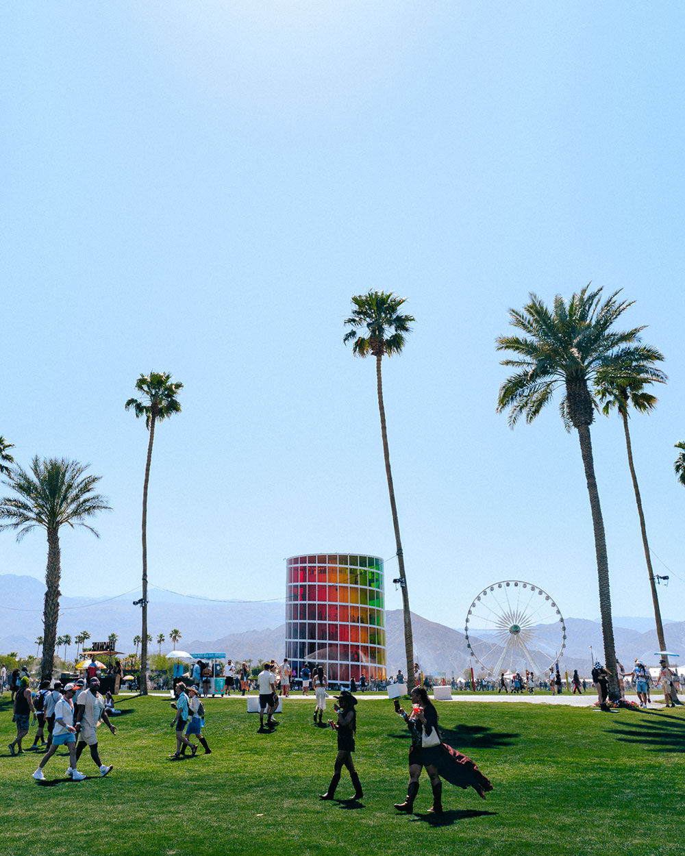 fans walking across green grass in front of palm trees