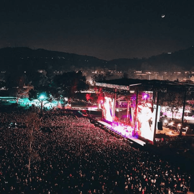 Night festival view