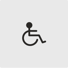 Wheelchair icon