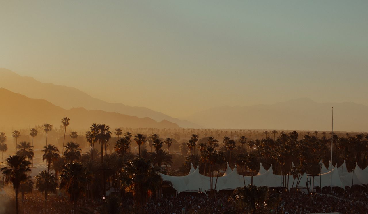 sunset and palm trees