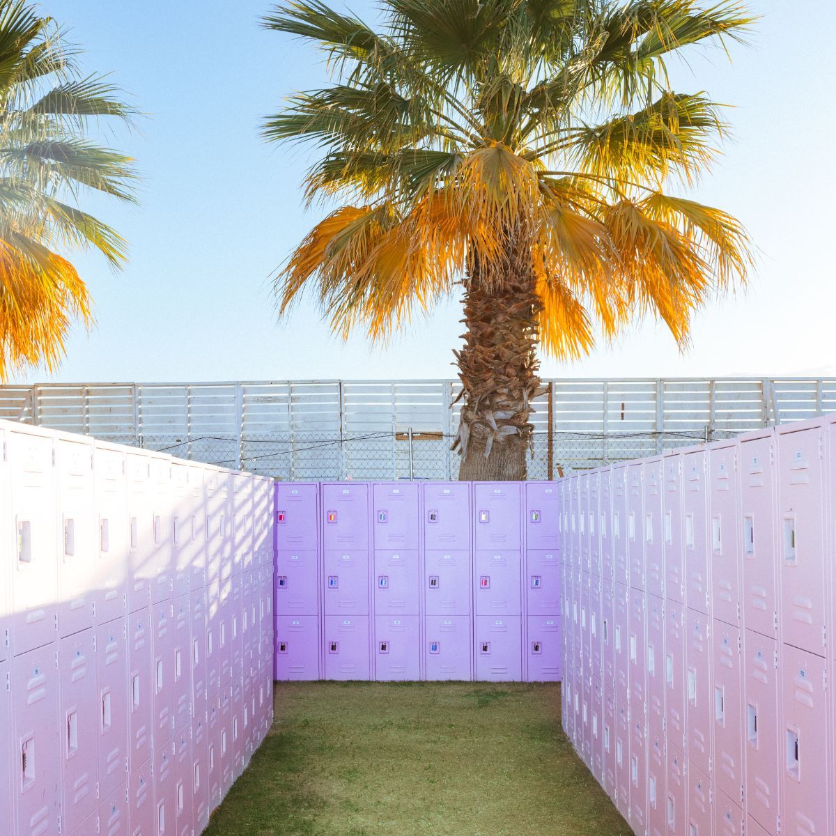 Lockers with palm tree in background