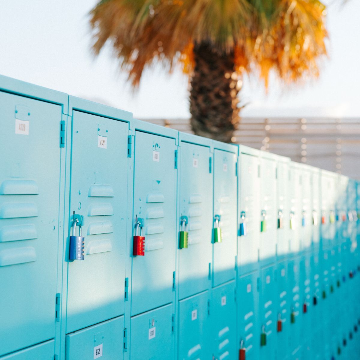 Lockers with palm tree in background