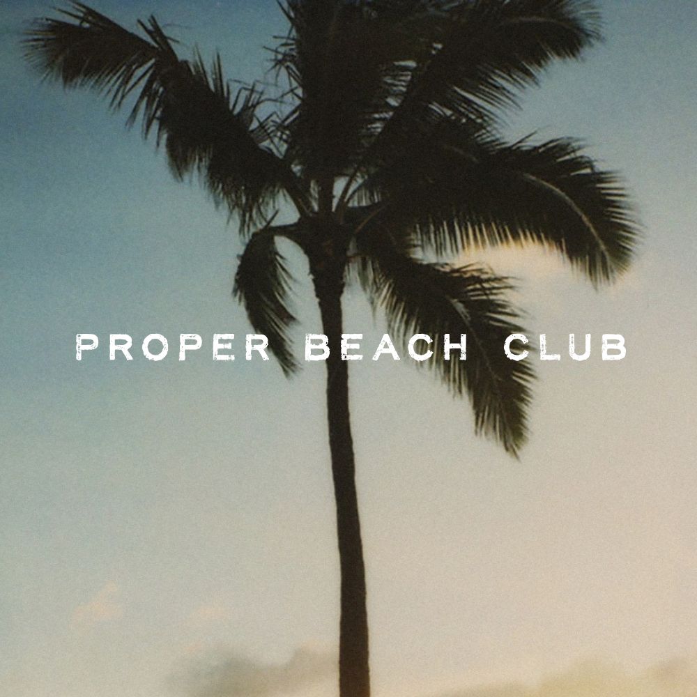 Palm Tree