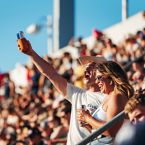 fans in stands